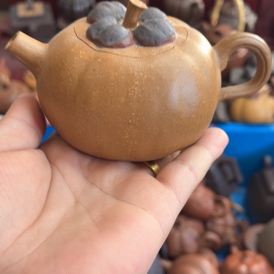 茶壶紫砂紫砂………………………………