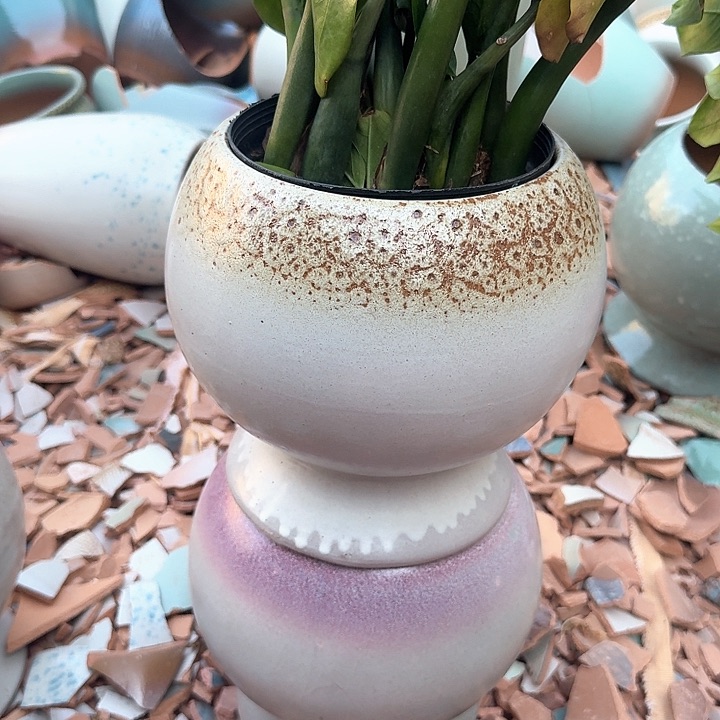 微瑕花盆啦啦哈哈