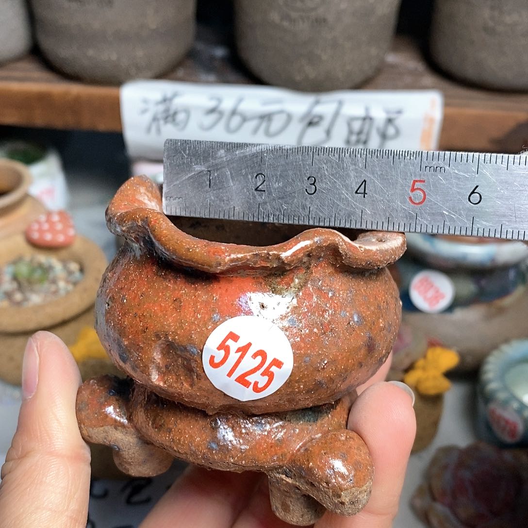 红陶拍5送一个小