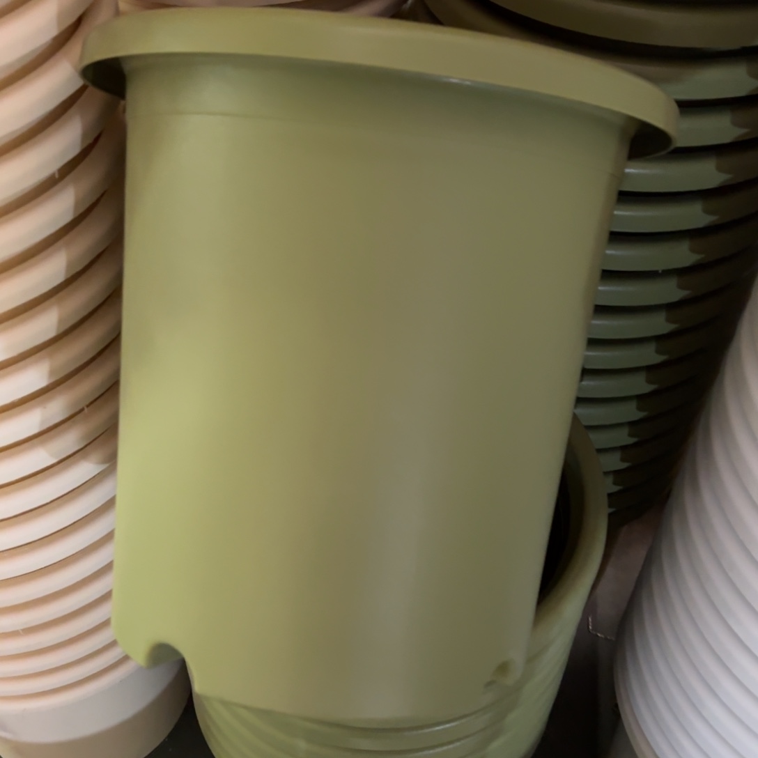 树脂特价7#无拖果绿6个