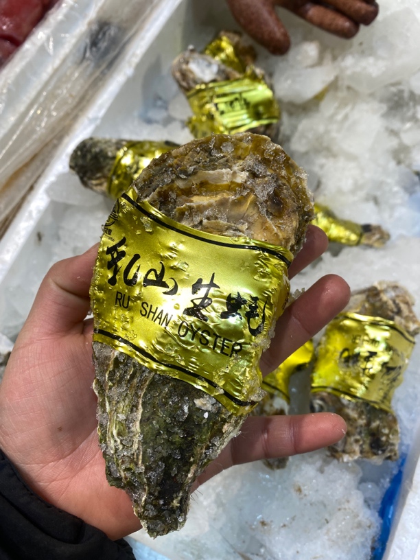 5斤生蚝 顺丰快递 青岛发货
