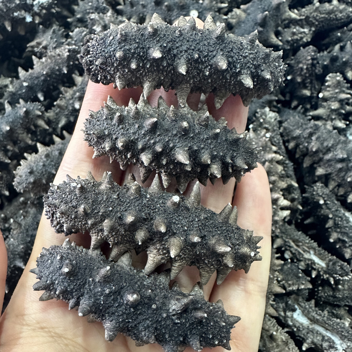 （大号）冷水速发海参泡发24小时可以吃无添加30只装送人首选