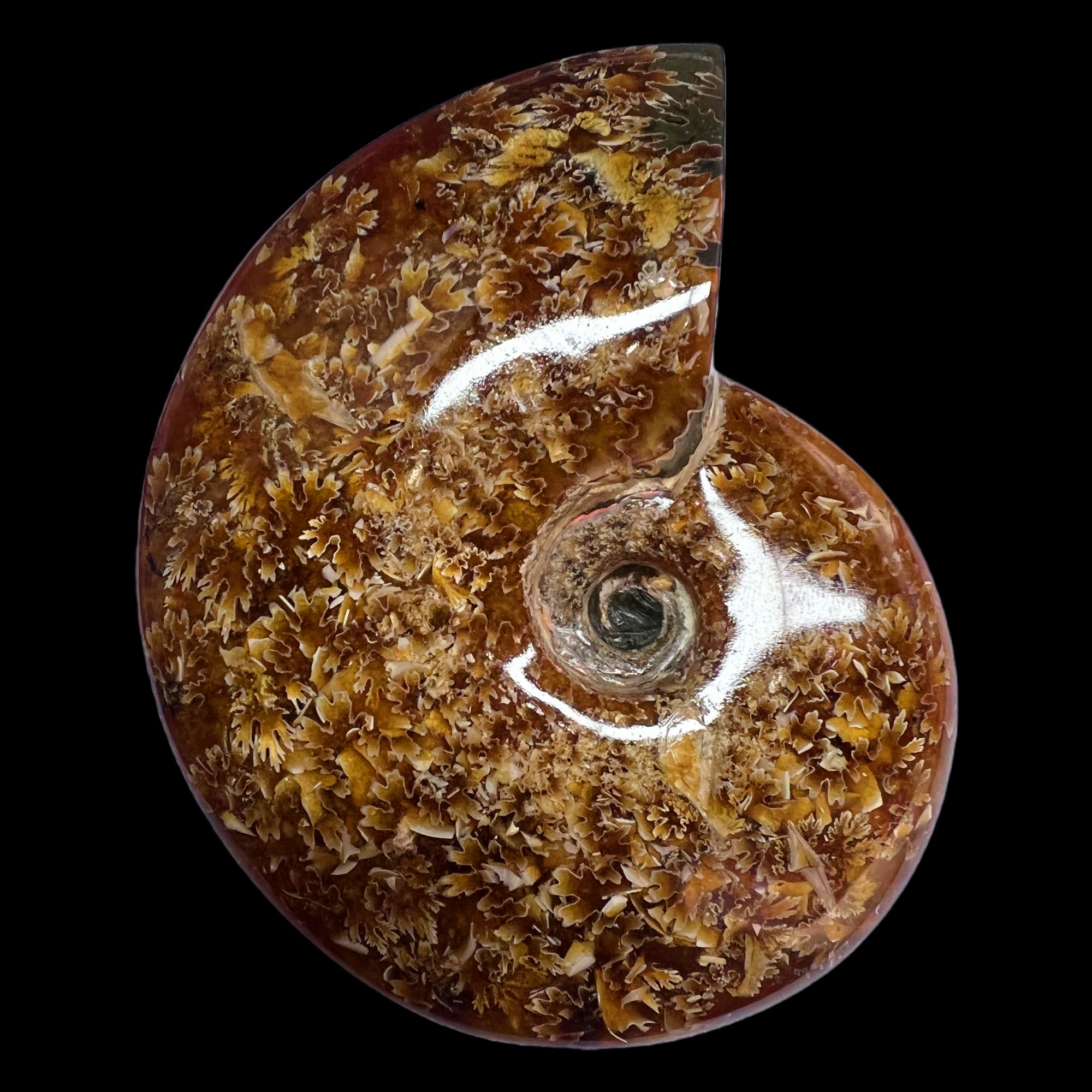 【 叶菊石（ 摆件）】130.8mm 玉化 马达加斯加 N-50  创意饰品 C18