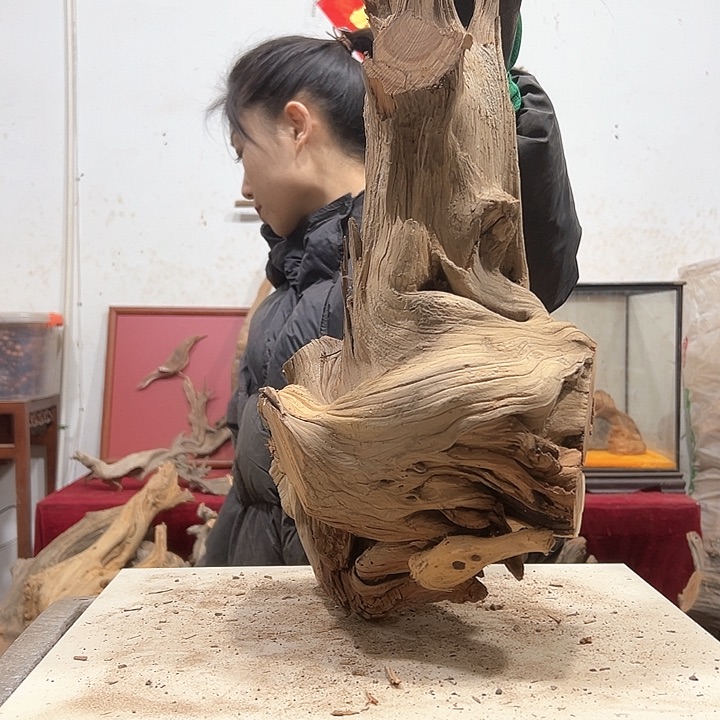 柏木哆**梦我们的生活也