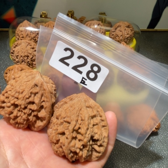 文玩核桃把件满天星42