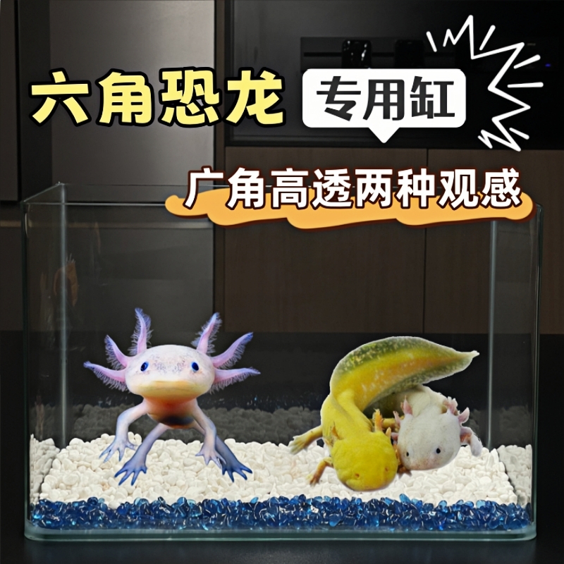 观景鱼缸家用小型六角恐龙专用缸长方形玻璃生态桌面景观水草缸玖