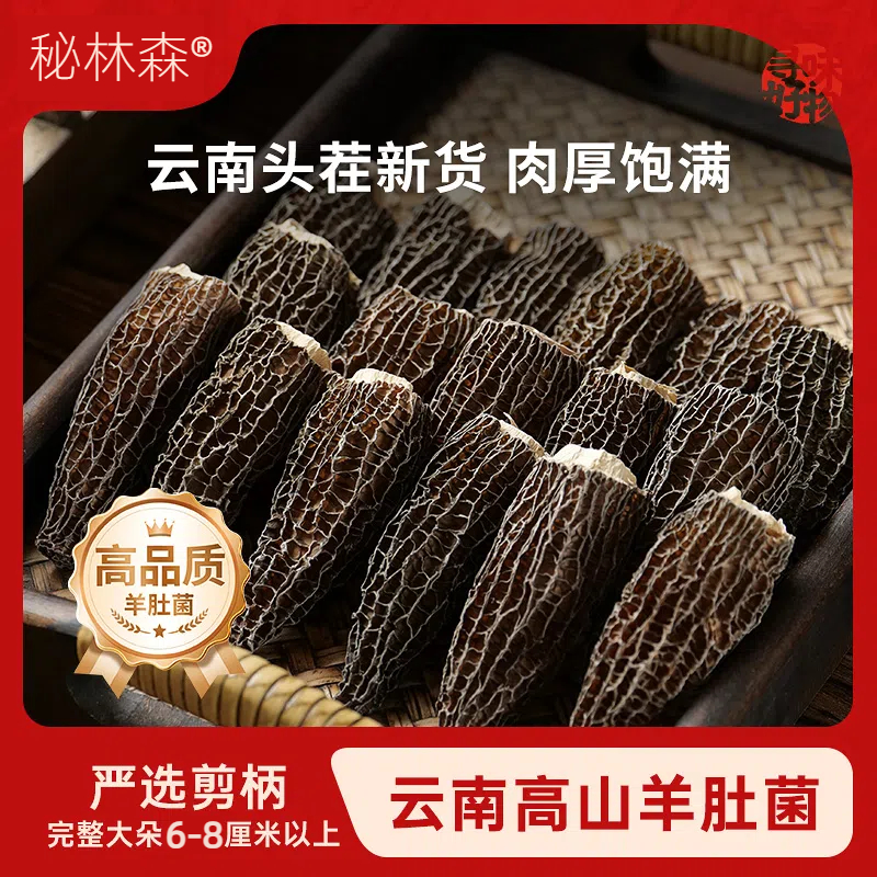 云南羊肚菌干货头茬菌菇林地种植煲汤料食材营养丰富产地直销新货