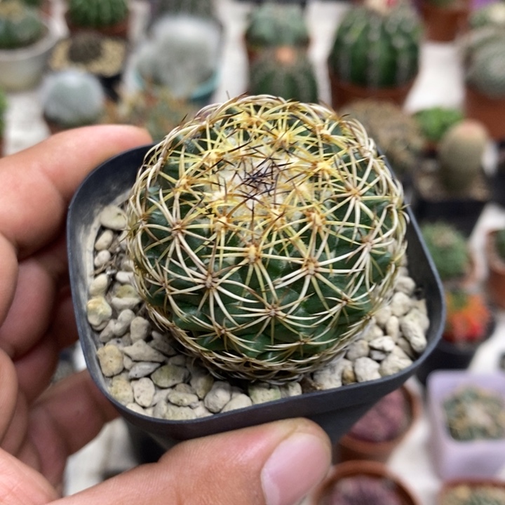 实生儒衣特价福利