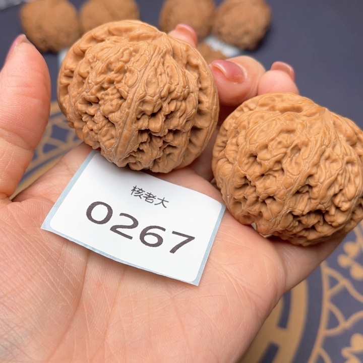 文玩核桃把件47大粗筋 0267