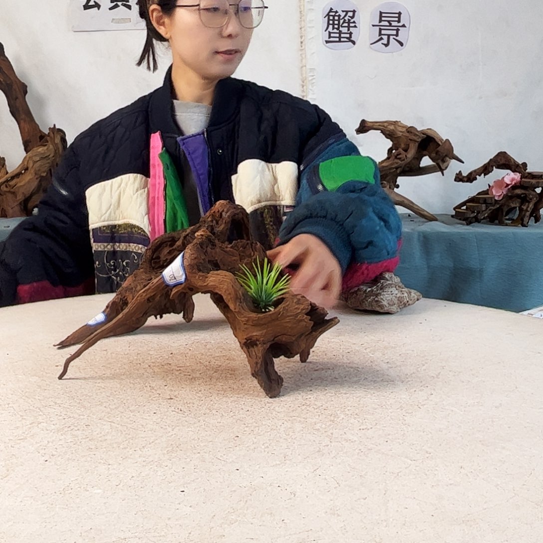 沉木造景爬宠造景