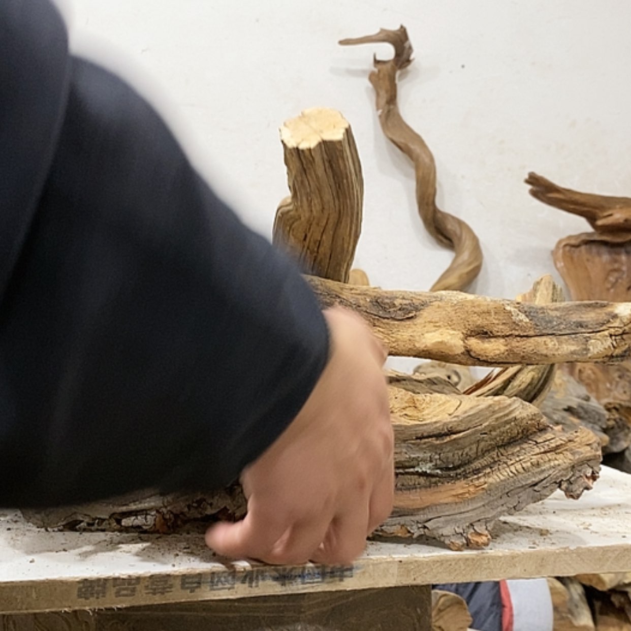 【闪购商品】柏木壹*堂我们都是好孩子