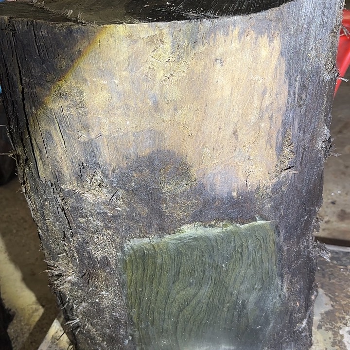 东***厂金丝楠啊啊啊啊啊啊啊