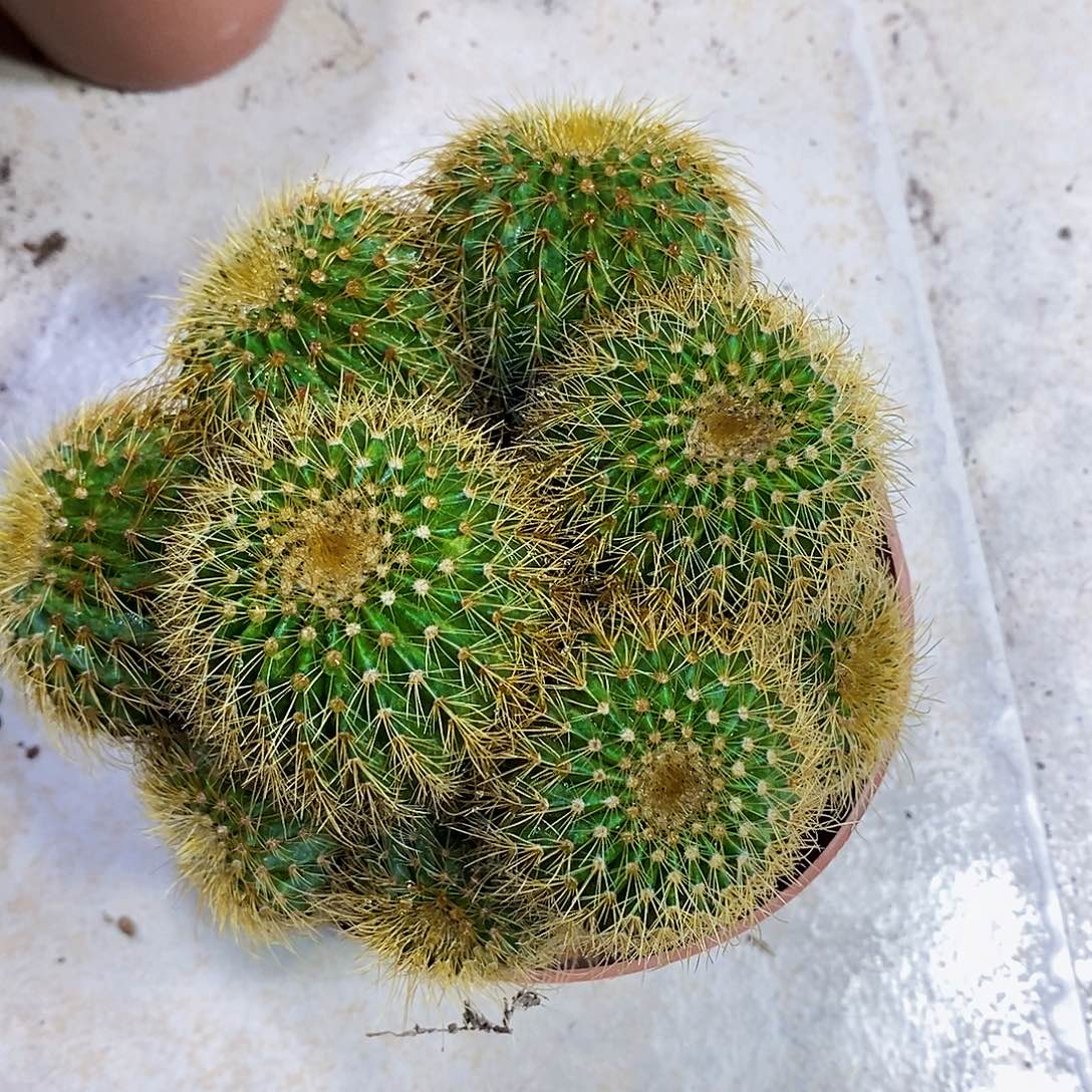 金冠群111111111111111个