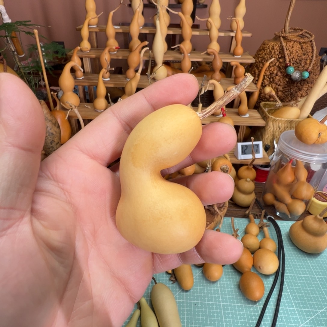 只***身本长异型定向抢购