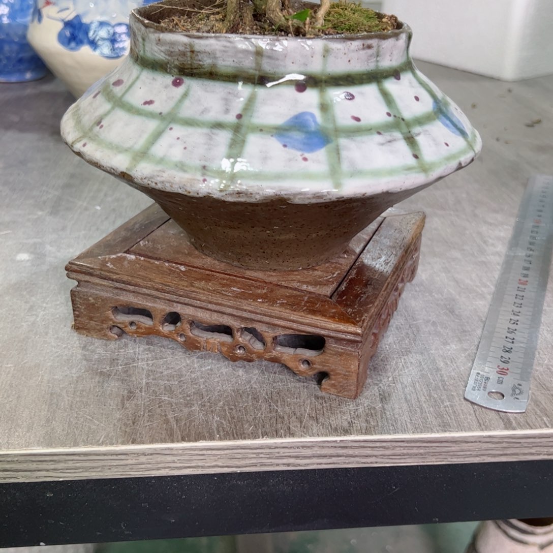 红陶勋****?口11高11无孔