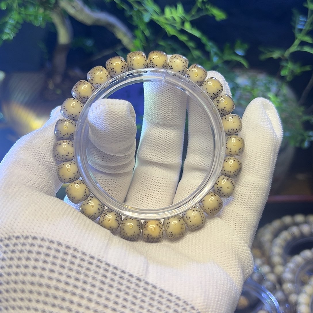 手串星月菩提海南原生态