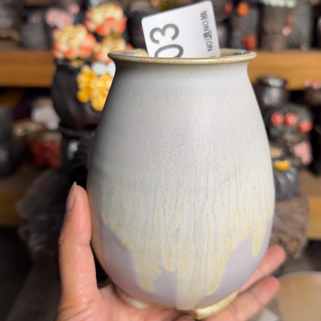 重庆小燕子欢迎大家303