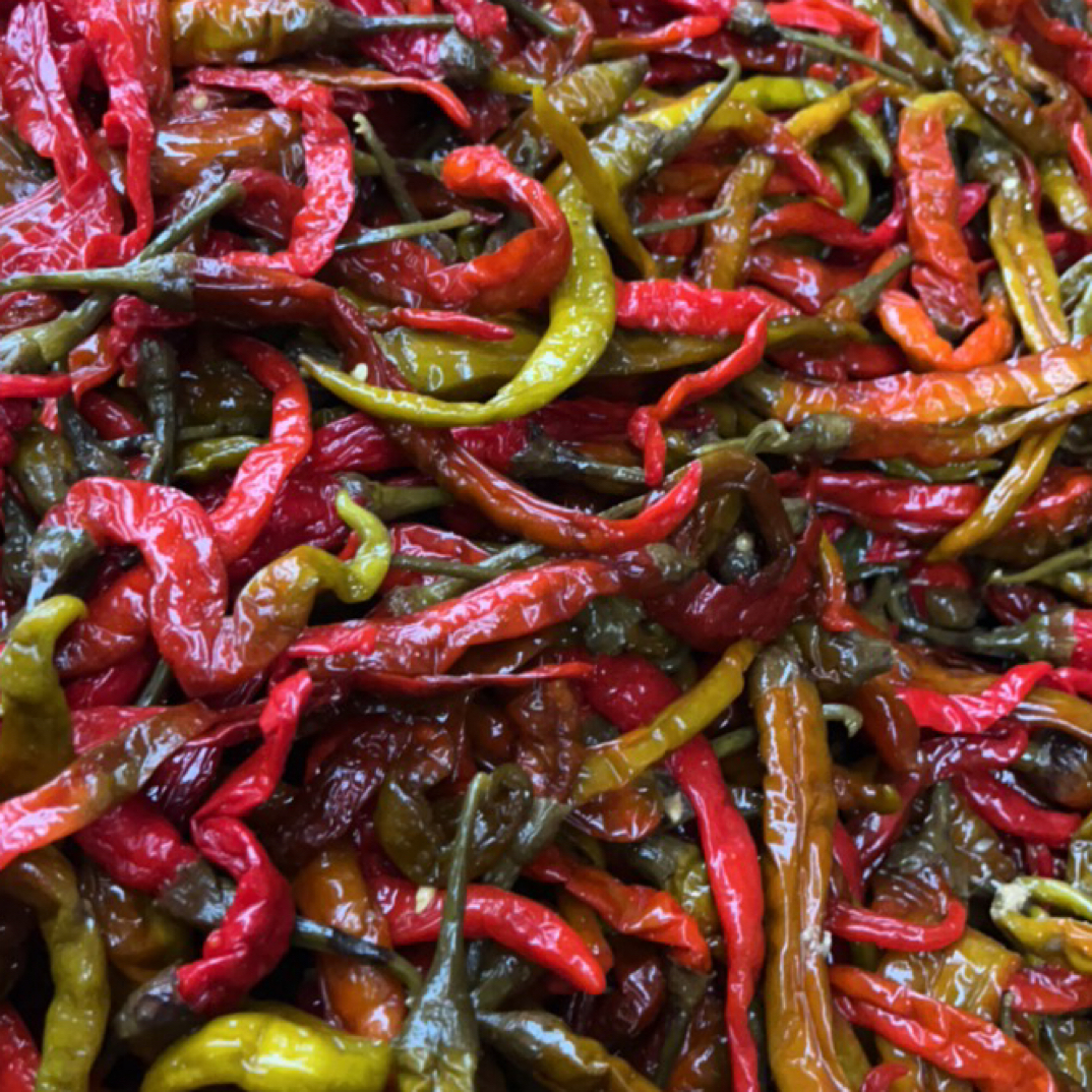 湖南农家手工腌制正宗酸辣椒泡椒青红混装酸辣开胃