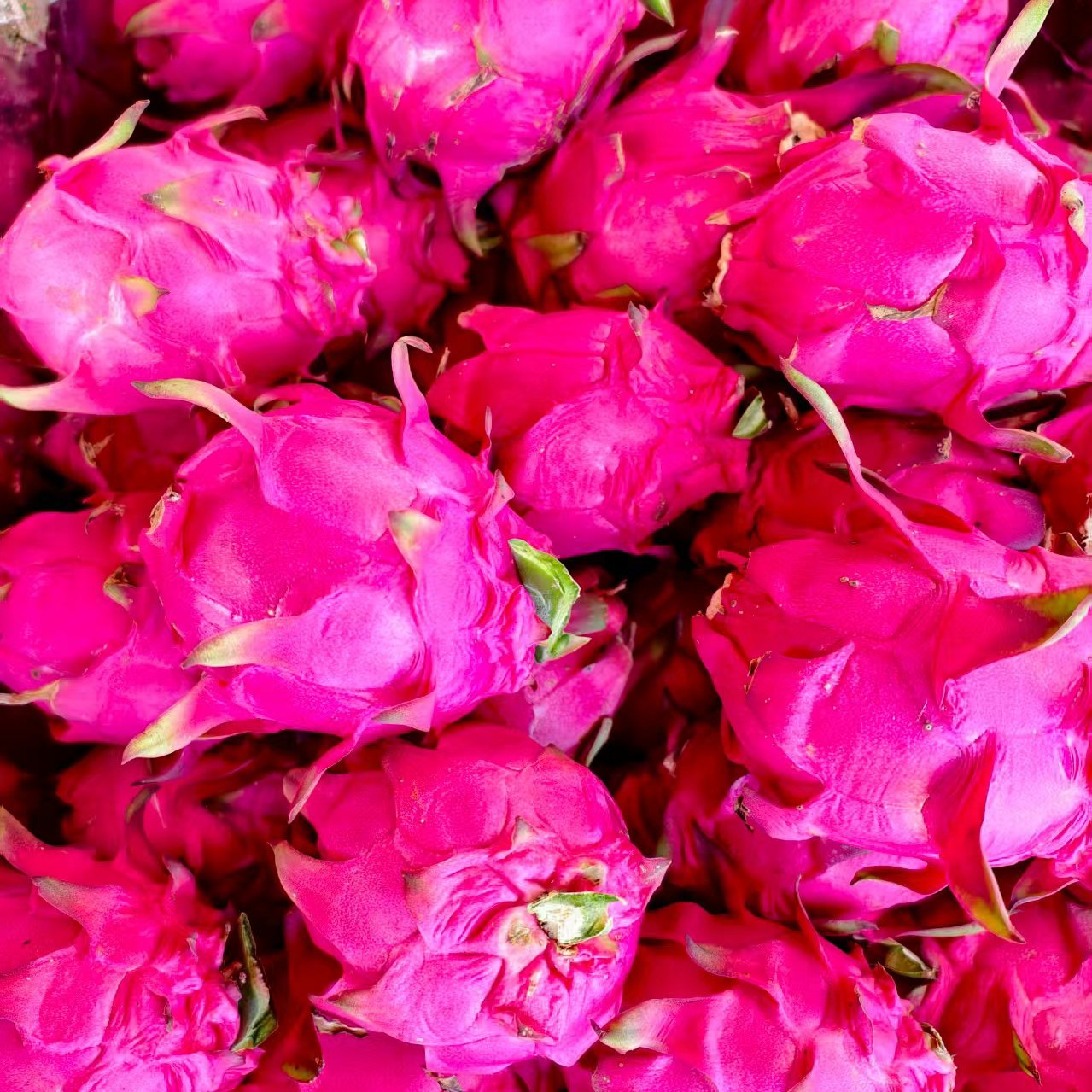 本地红心火龙果产地直发皮溥肉厚汁多口感清甜应季水果