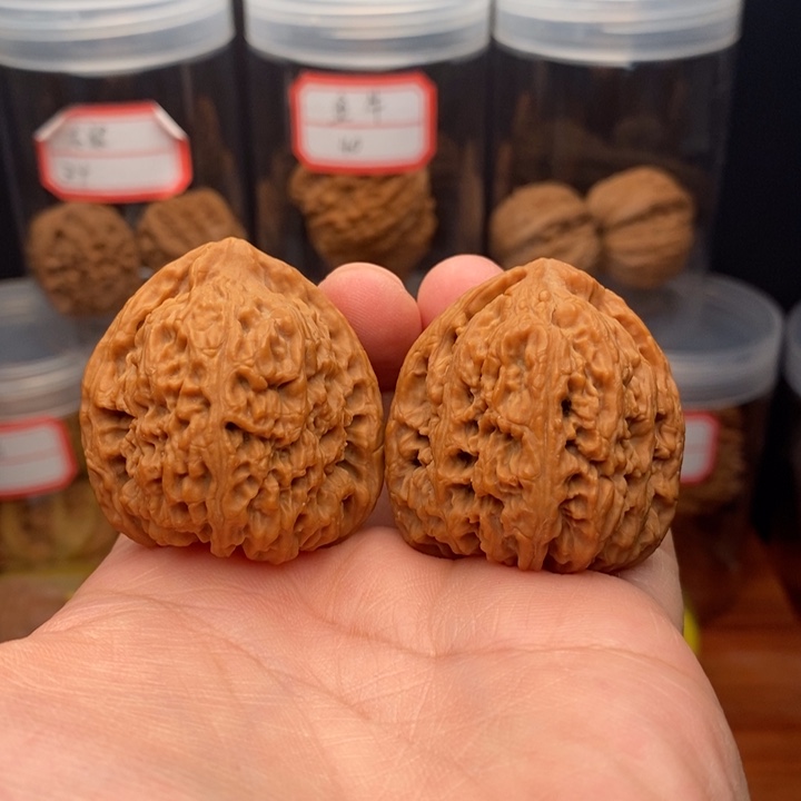 核桃麻核桃南疆石38尺