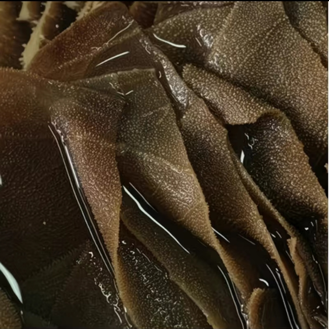 毛肚一斤装25.8元 