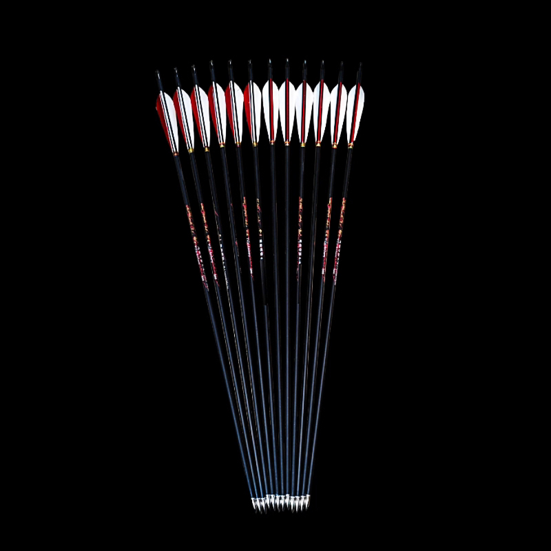 特价混碳箭新手练习推荐真羽箭全长80cm33.8g左右意在弓箭