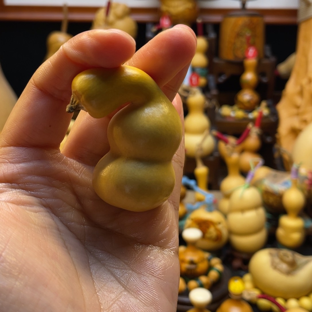 熙*葫芦等多种颜色的花鸟画作品