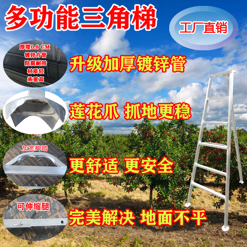 果园园林大棚专用镀锌钢三脚折叠人字梯用于果树采摘修剪三角梯