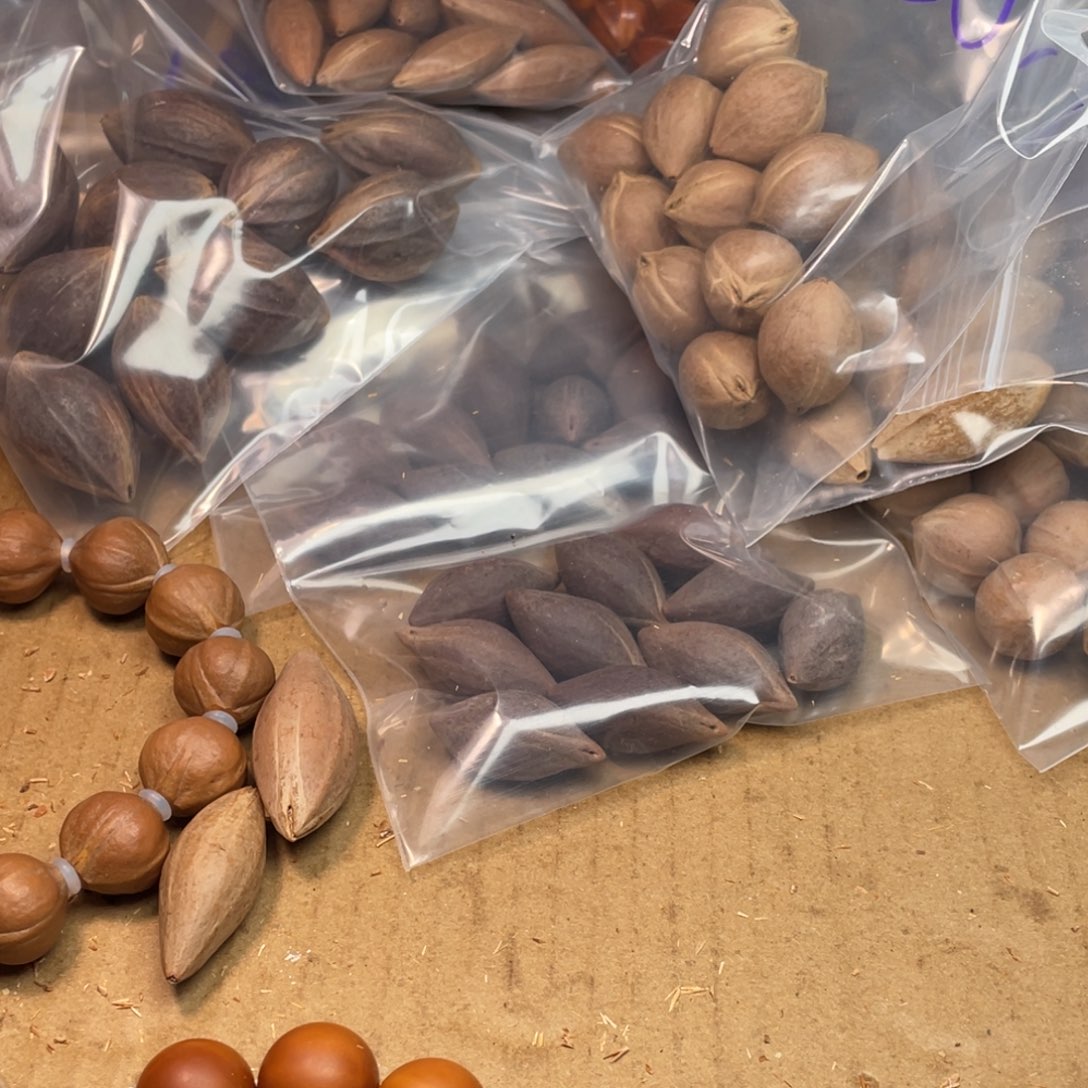 心***除橄榄核手串/手链1