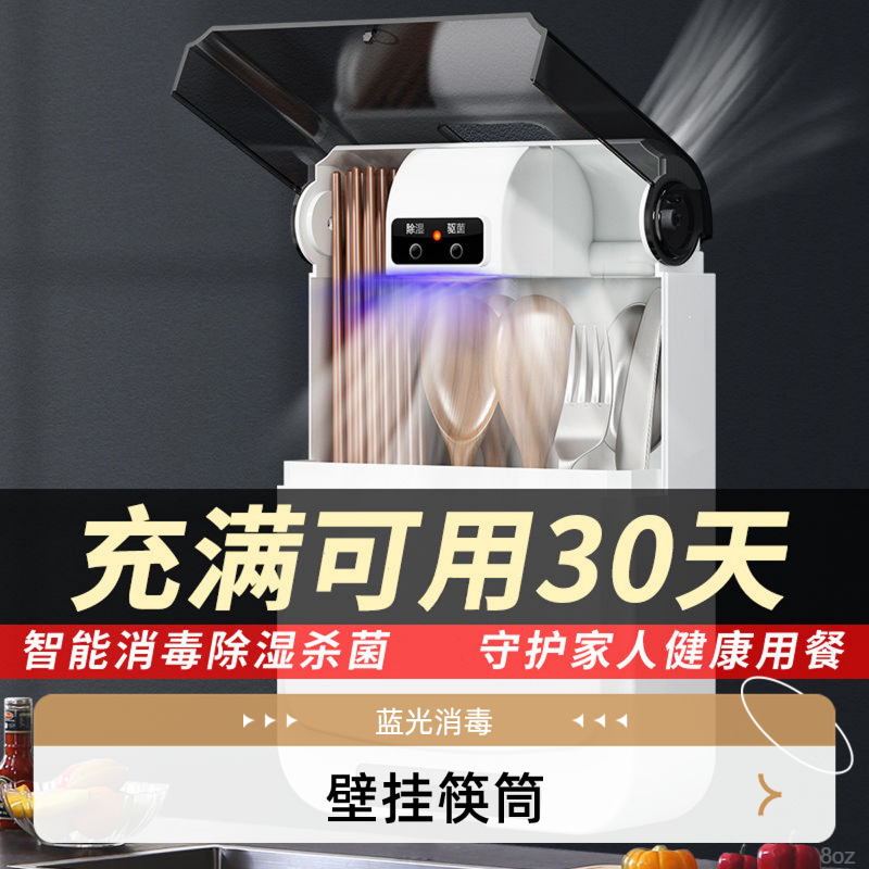 蓝光杀菌壁挂式防潮防霉速干智能消毒筷子筒筷子收纳筒