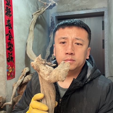 柏木娟*崖柏毛料的