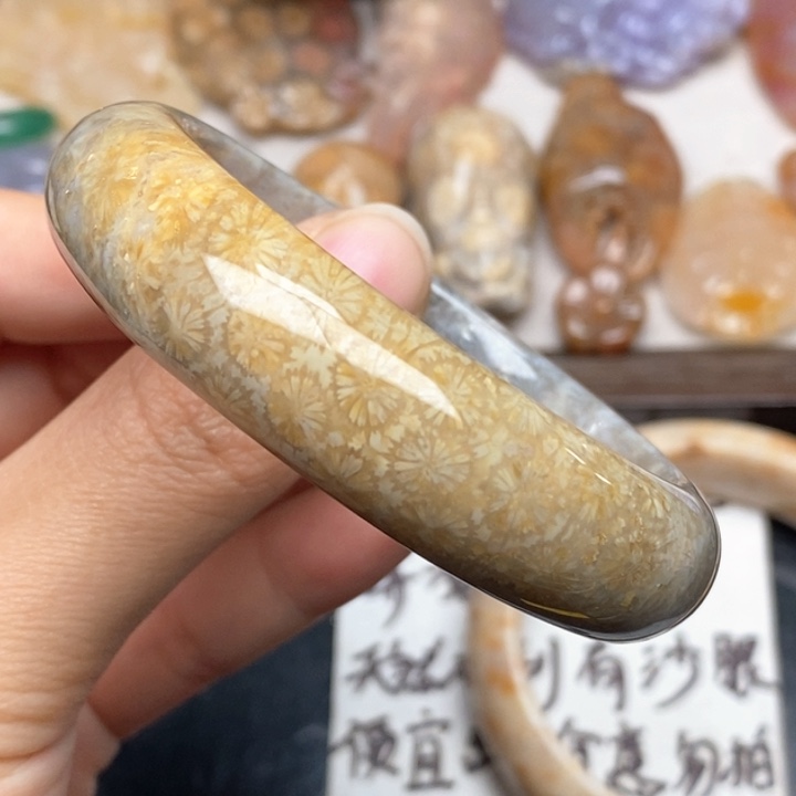 硅化珊瑚（珊瑚玉）手镯未镶嵌53.7