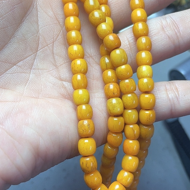 大果紫檀（缅甸花梨）