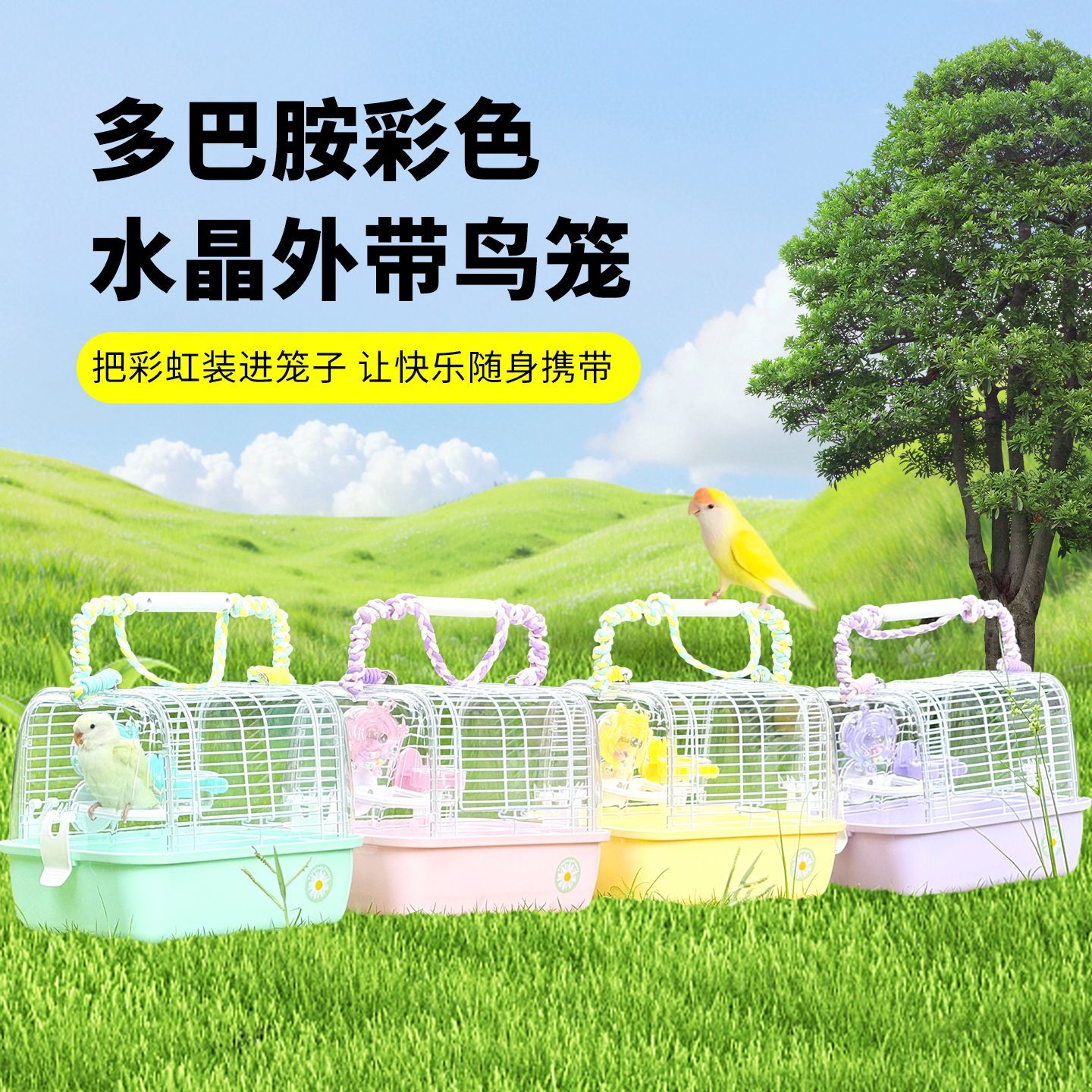 户外鹦鹉外带笼水晶外带笼彩色多巴胺通风透气饲鸟笼蜜袋鼯