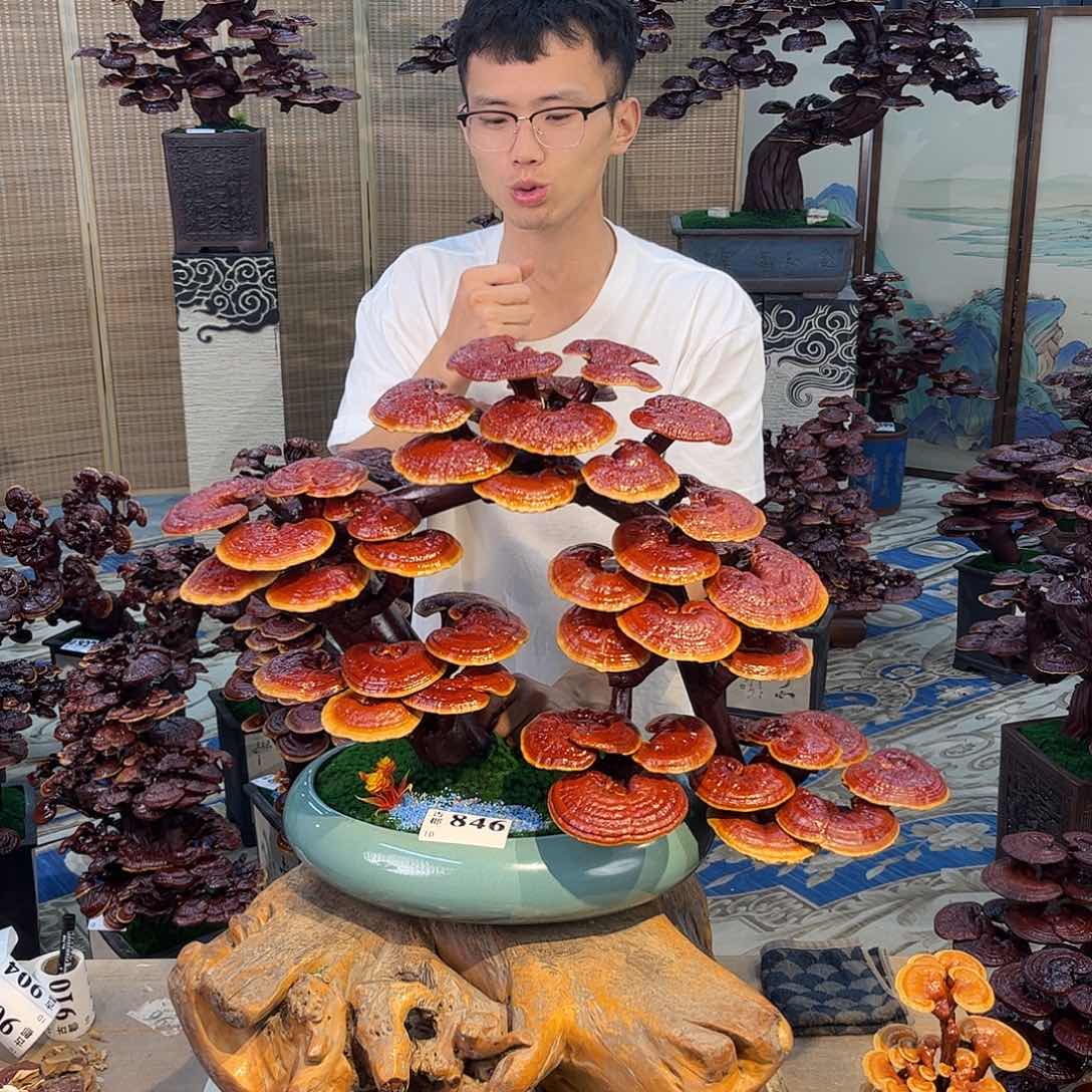 无花朵8888888888888888888