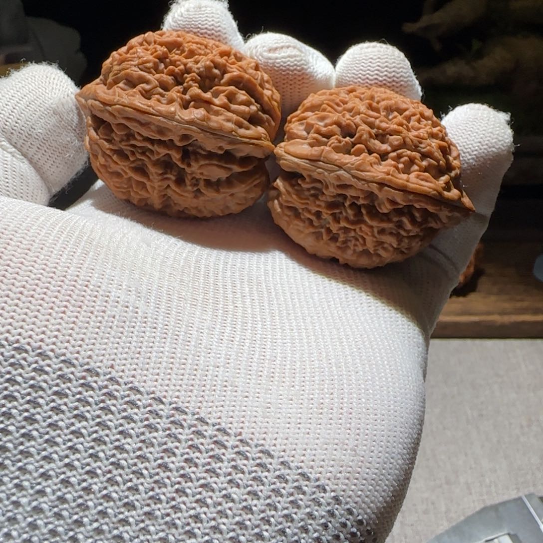 猴头核桃吊坠全品红皮宝瓶