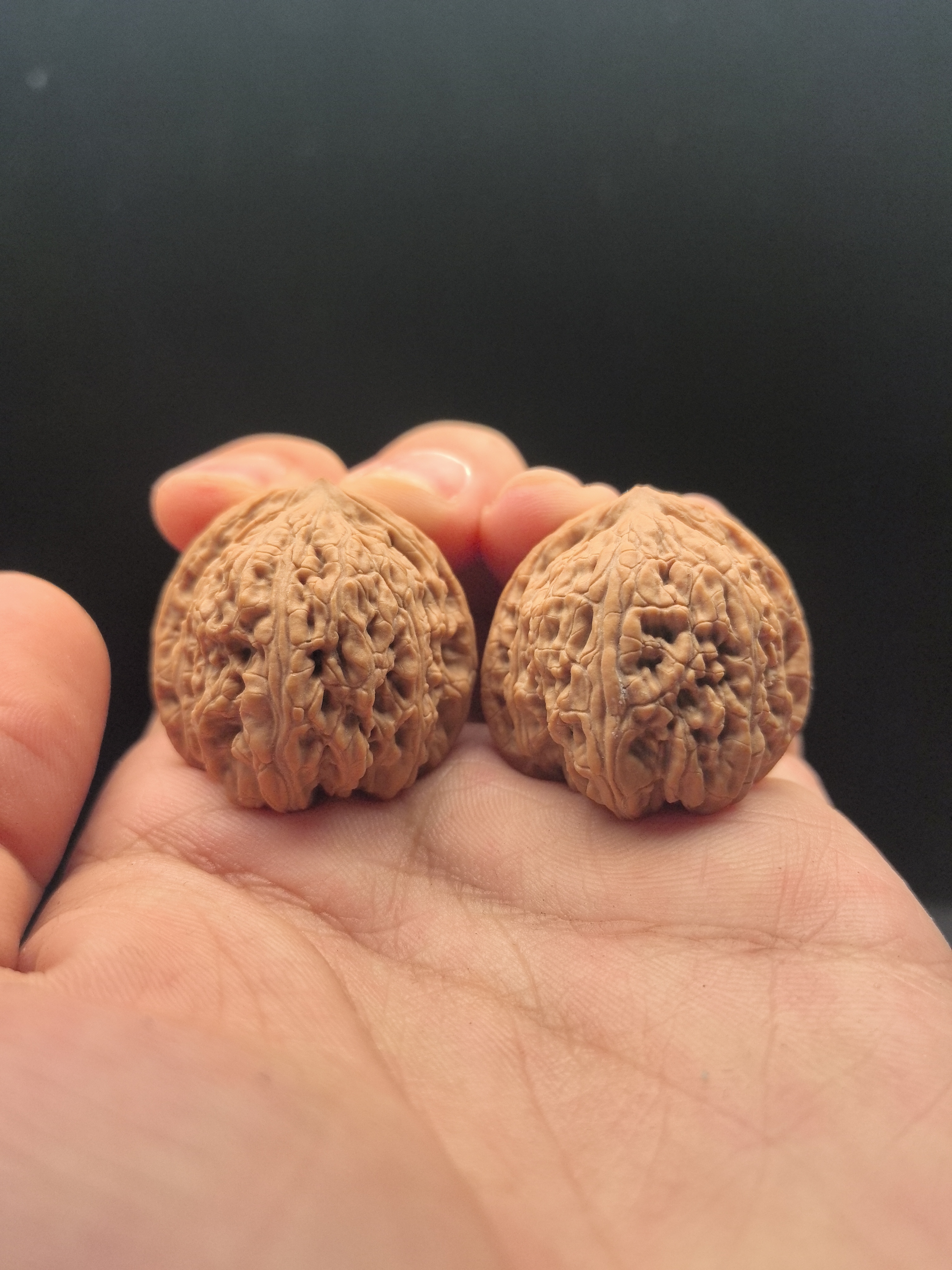 文玩核桃 承德密纹 9073号 32尺寸