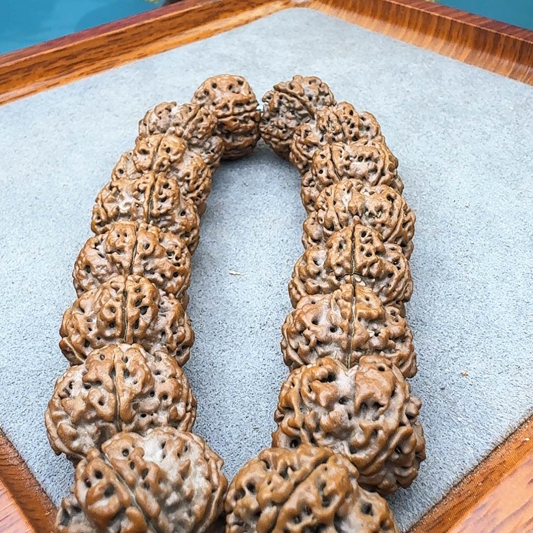 金刚菩提手串天然纽扣