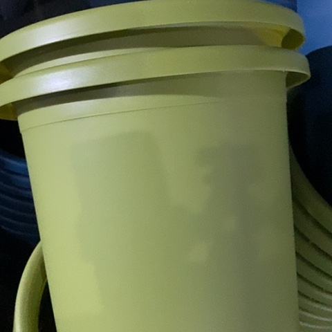 树脂四季7号果绿无托6个