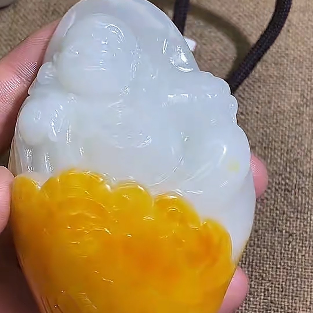 石包多样性拍一发一12月18日 A7