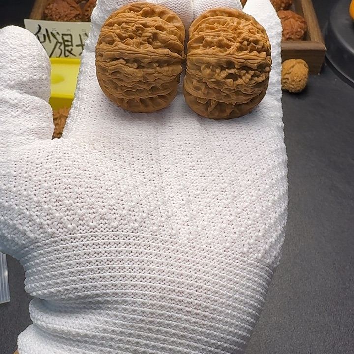 核桃闪电购42打底白狮子