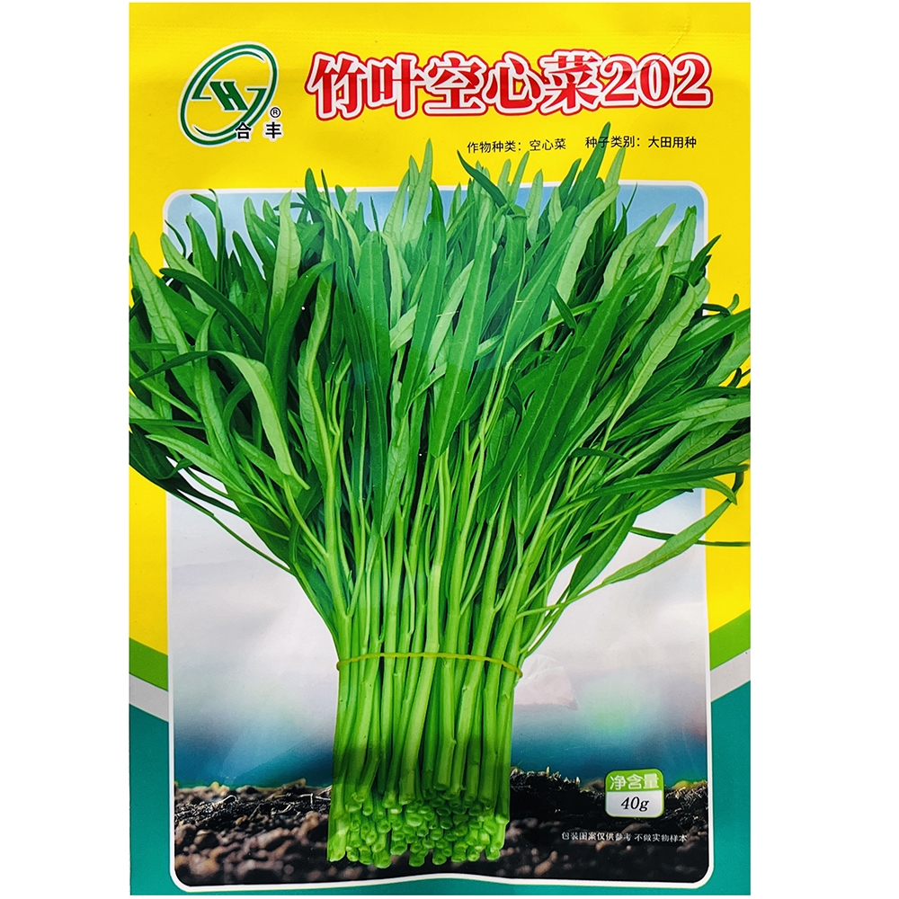 竹叶空心菜种籽原装500克基地专用高产  春夏秋三季播种蔬菜种子