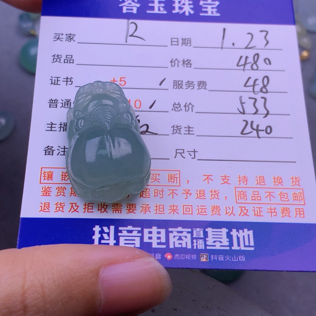 翡翠挂件未镶嵌R****?翡翠