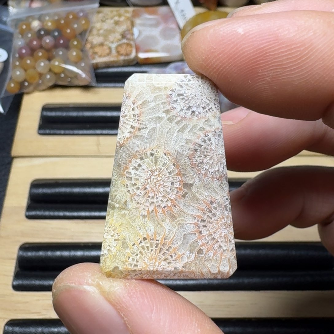 硅化珊瑚（珊瑚玉）纯天然色有机玉石未镶嵌