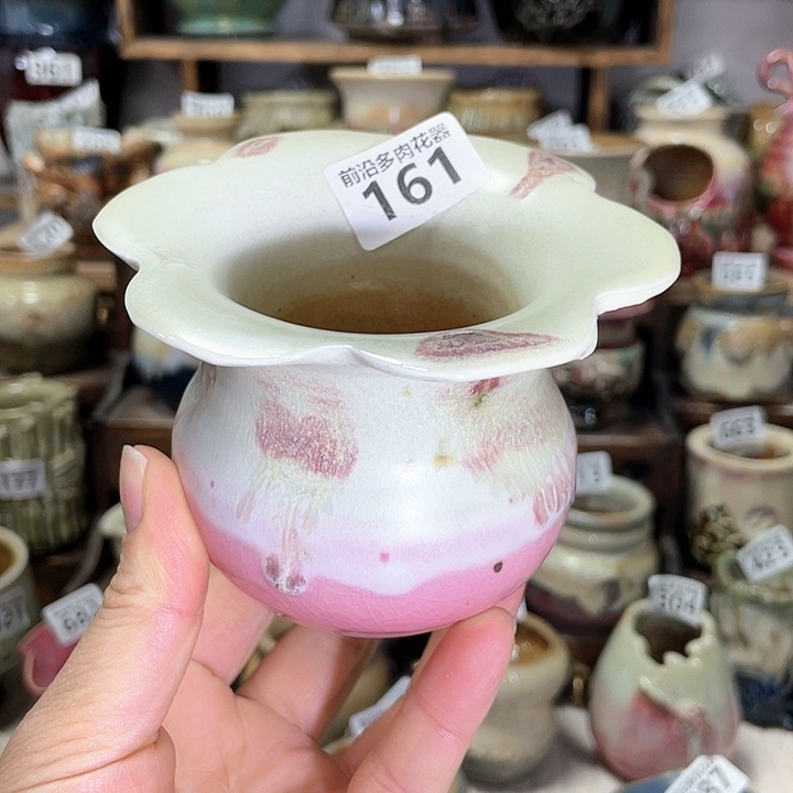 红陶内口径6高度8