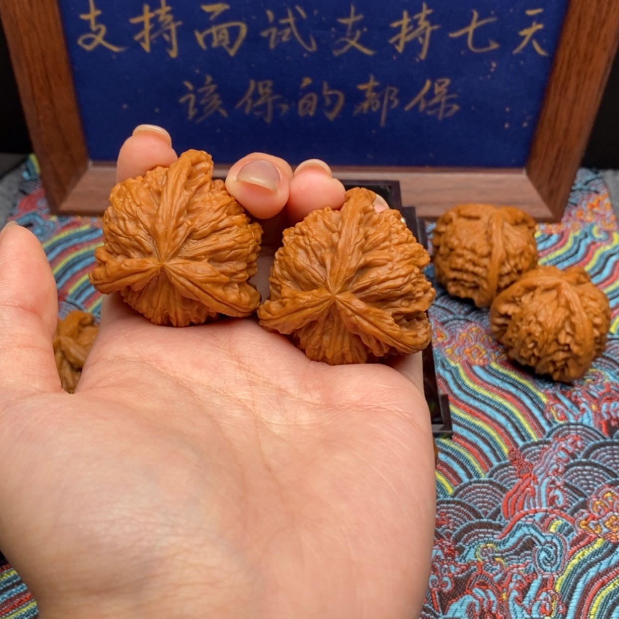 【闪购商品】Z**h白狮