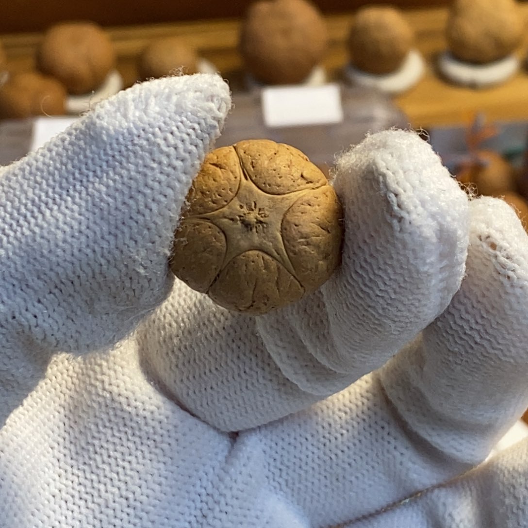 时***间凤眼菩提吊坠五星