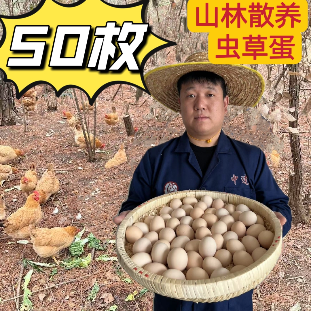 农村自家土鸡蛋50枚散养当天新鲜土鸡蛋