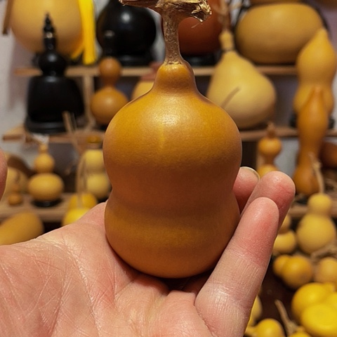 精品厚皮小八宝葫芦