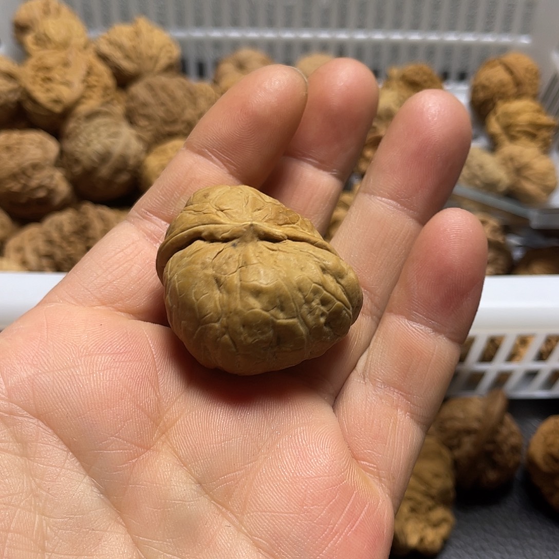 小***泡文玩核桃吊坠核桃
